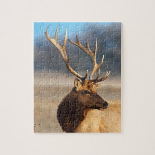 Portret van een indrukwekkende wapiti-stier legpuzzel