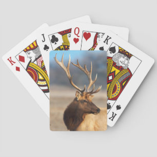 Portret van een indrukwekkende wapiti-stier pokerkaarten