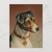 Portret van een Jack Russel Terriër | Carl Reicher Briefkaart (Voorkant)