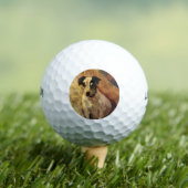 Portret van een Jack Russell Dog (Animal Art) Golfballen (Insitu Shirt)