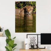 Portret van een jaguar-zwemmer poster (Thuiskantoor)