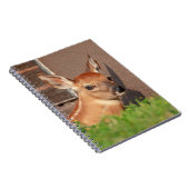 Portret van een jong hert (witstaarthert) notitieboek (Rechterzijde)