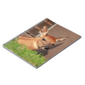 Portret van een jong hert (witstaarthert) notitieboek (Linkerzijde)