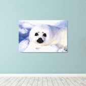 Portret van een jong zeehondje canvas afdruk (Insitu (Houten vloer))