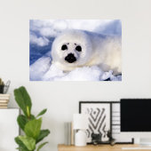 Portret van een jong zeehondje poster (Thuiskantoor)