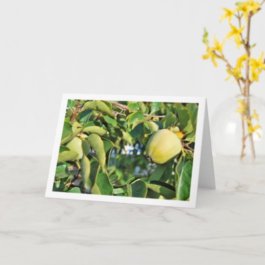 Portret van een kaki boom kaart (Gele Bloem)