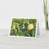 Portret van een kaki boom kaart (Voorkant)