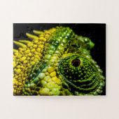Portret van een kameleon legpuzzel (Horizontaal)
