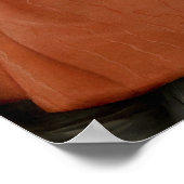 Portret van een kardinaal poster (Hoek)