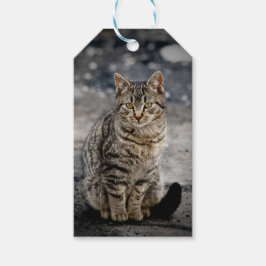 Portret van een kat cadeaulabel