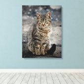 Portret van een kat canvas afdruk (Insitu (Houten vloer))