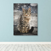 Portret van een kat canvas afdruk (Insitu (Houten vloer))