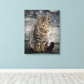 Portret van een kat canvas afdruk (Insitu (Houten vloer))