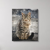 Portret van een kat canvas afdruk (Voorkant)