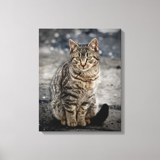 Portret van een kat canvas afdruk (Voorkant)