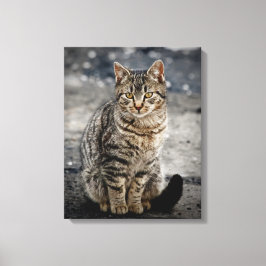 Portret van een kat canvas afdruk