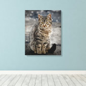 Portret van een kat canvas afdruk (Insitu (Houten vloer))