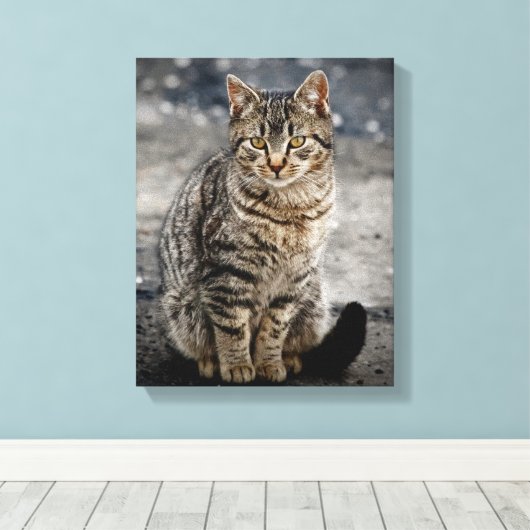 Portret van een kat canvas afdruk (Insitu (Houten vloer))