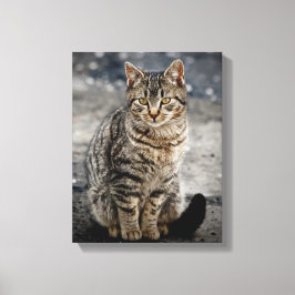 Portret van een kat canvas afdruk