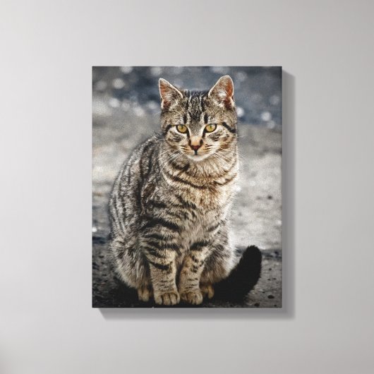 Portret van een kat canvas afdruk (Voorkant)