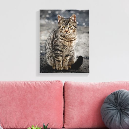Portret van een kat canvas afdruk (Insitu (Woonkamer))