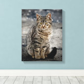 Portret van een kat canvas afdruk (Insitu (Houten vloer))