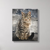 Portret van een kat canvas afdruk (Voorkant)