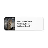 Portret van een kat etiket (Voorkant)