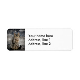 Portret van een kat etiket