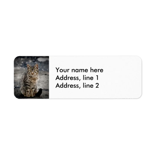 Portret van een kat etiket (Voorkant)