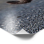 Portret van een kat foto afdruk (Hoek)