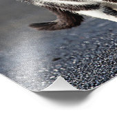 Portret van een kat foto afdruk (Hoek)