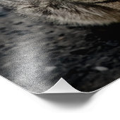 Portret van een kat foto afdruk (Hoek)