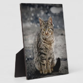 Portret van een kat fotoplaat (Zijkant)