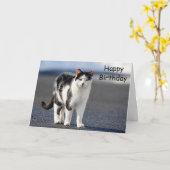 Portret van een kat kaart (Gele Bloem)