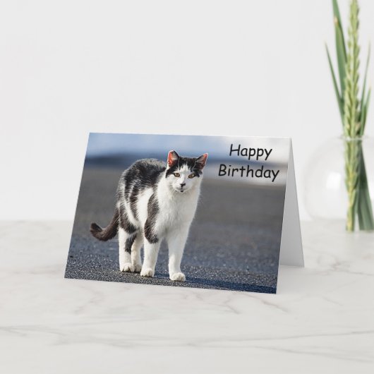 Portret van een kat kaart (Voorkant)