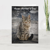 Portret van een kat kaart (Voorkant)