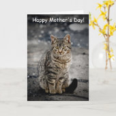 Portret van een kat kaart (Gele Bloem)