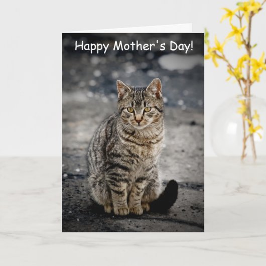 Portret van een kat kaart (Gele Bloem)