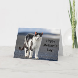 Portret van een kat kaart