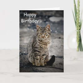 Portret van een kat kaart