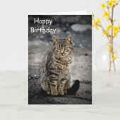 Portret van een kat kaart (Gele Bloem)