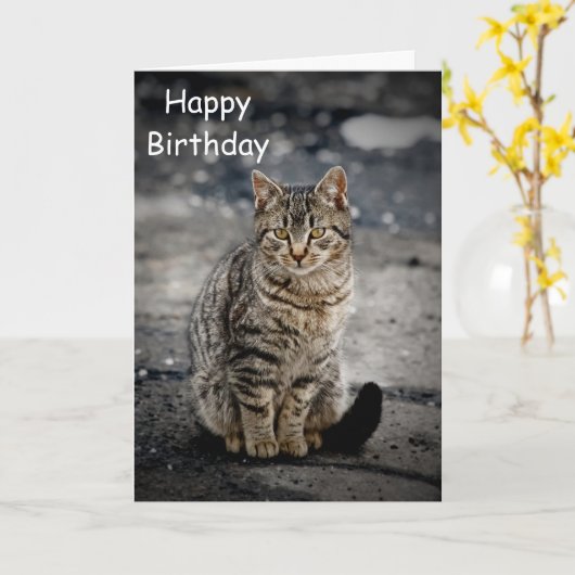 Portret van een kat kaart (Gele Bloem)