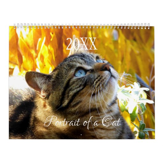 Portret van een kat kalender - HAMbyWG (Hoes)