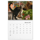 Portret van een kat kalender - HAMbyWG (Feb 2027)