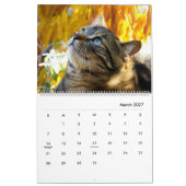 Portret van een kat kalender - HAMbyWG (Mar 2027)