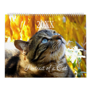 Portret van een kat kalender - HAMbyWG