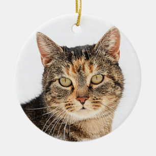 Portret van een kat keramisch ornament