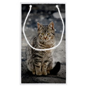 Portret van een kat klein cadeauzakje (Achterkant)