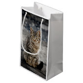 Portret van een kat klein cadeauzakje (Achterkant Gekanteld)